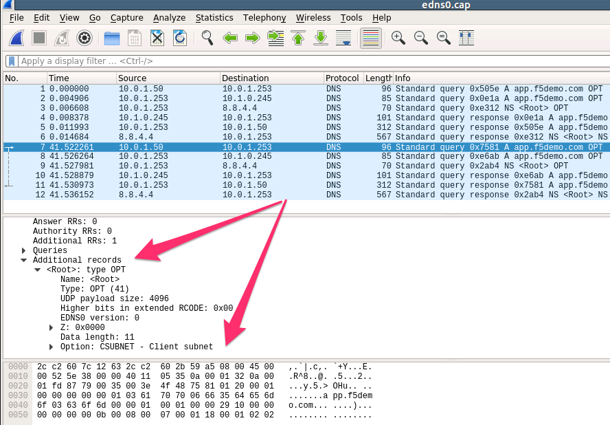 Wireshark DNS Filter